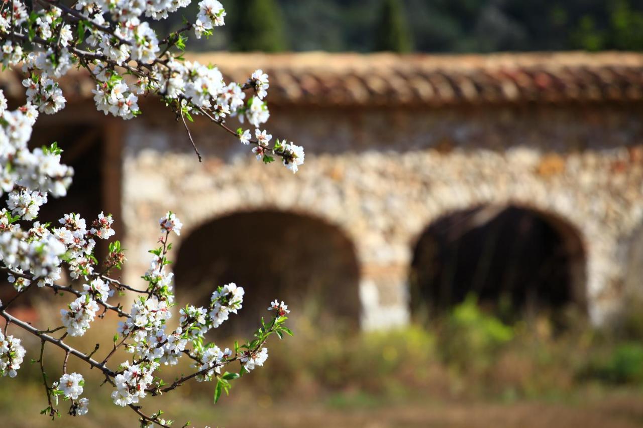 Benestar In Jalon Valley Alcalalí 외부 사진